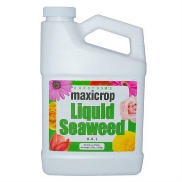 Maxicrop Liquid Seaweed (Original)