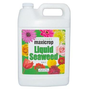 Maxicrop Liquid Seaweed (Original)