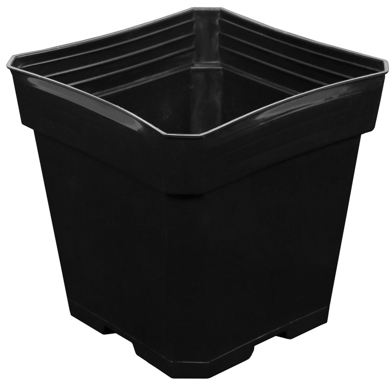 Gro Pro Black Plastic Pot 5.5 x 5.5 x 5.75 Inch