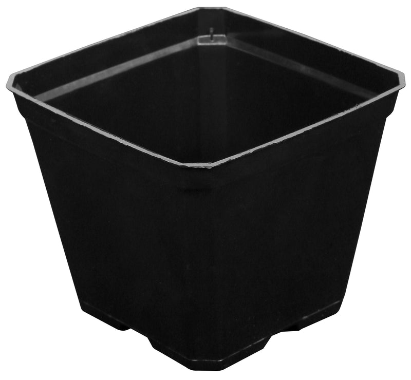 Gro Pro Black Plastic Pot 3.5 x 3.5 x 3 Inch
