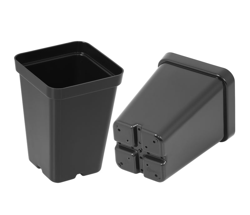 Sunpack 2.5" Square Pot, Magenta - Image 6