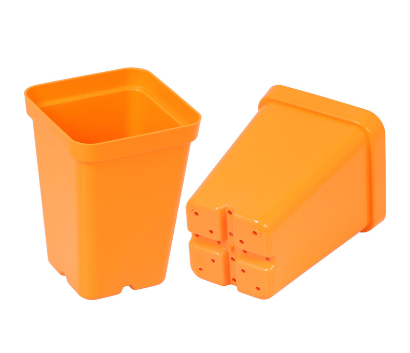 Sunpack 2.5" Square Pot, Yellow - Image 4