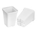SUNPACK 2.5 Inch Square Pots