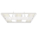 HLG Scorpion Diablo 2.0