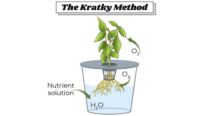 Ultimatives Kratky-Paket – alles außer Wasser inklusive!